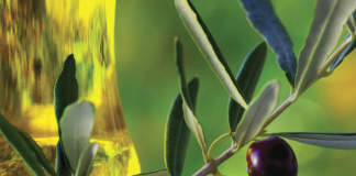 mercato olivicoltura biologica