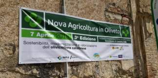 nova agricoltura in oliveto 2018