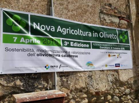 nova agricoltura in oliveto 2018