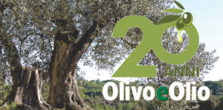 venti anni di olivo e olio
