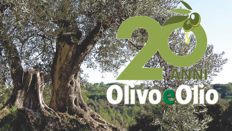 venti anni di olivo e olio