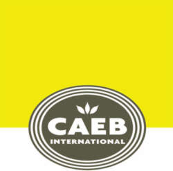 app di caeb international