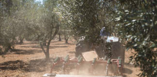 macchine agricole per la gestione dell'oliveto