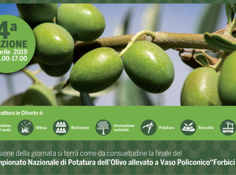 nova agricoltura in oliveto 2019