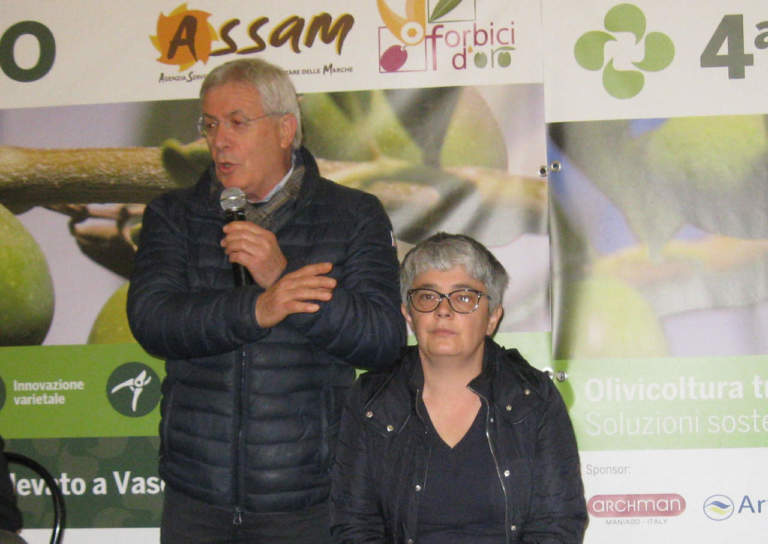 tavora rotonda su xylella a nova agricoltura in oliveto 2019