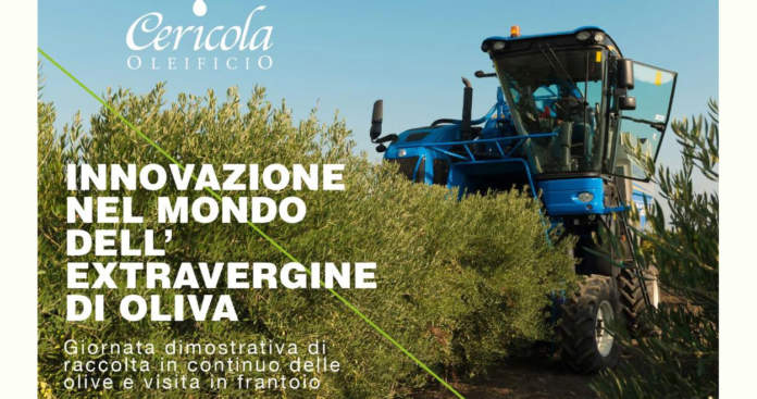 innovazione settore olivicolo a cerniola