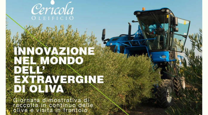 Innovazione nel mondo dell’extravergine di oliva