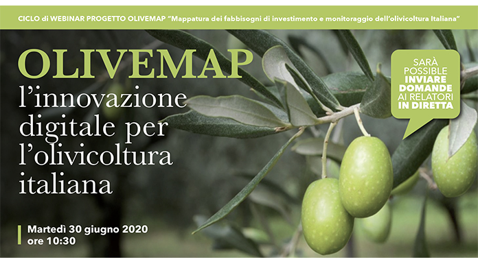 olivemap