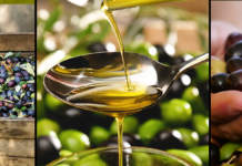 produzione olio di oliva e olive 2021
