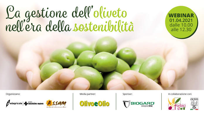 Webinar: La gestione dell’oliveto nell’era della sostenibilità