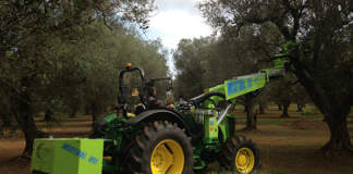 gestione mecanizzata oliveti