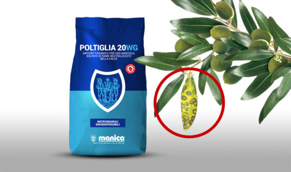 Poltiglia 20 WG Manica, fungicida per la difesa dell'olivo dall'occhio di  pavone - Olivo e Olio