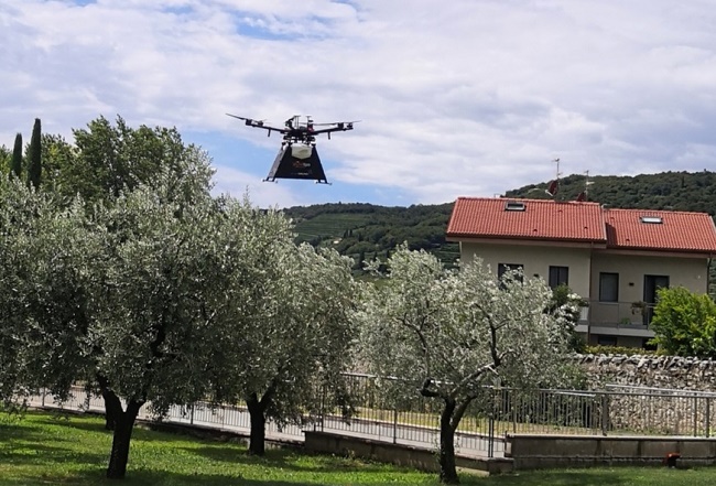 droni mosca olive