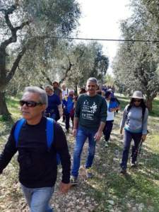 camminata fra olivi