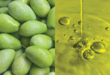 foss olivia