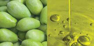 foss olivia