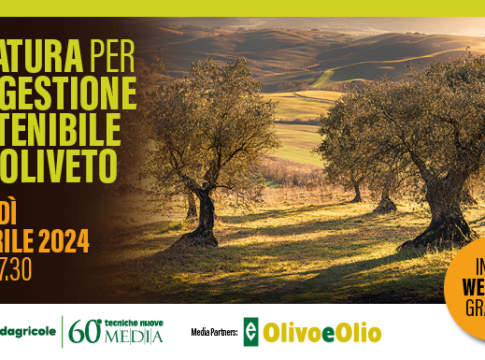 Webinar: Potatura per una gestione sostenibile dell'oliveto