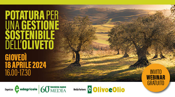 Webinar: Potatura per una gestione sostenibile dell'oliveto