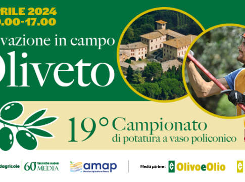 Innovazione in campo oliveto e 19° Campionato potatura Olivo a vaso policonico