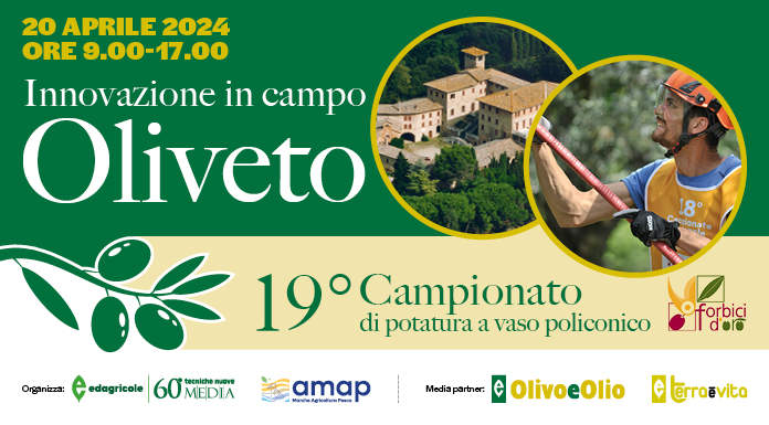 Innovazione in campo oliveto e 19° Campionato potatura Olivo a vaso policonico